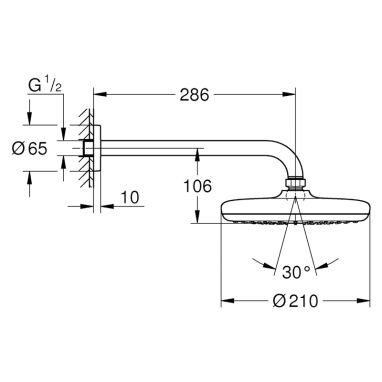 GROHE Верхний душ с кронштейном TEMPESTA 210 (26411000)