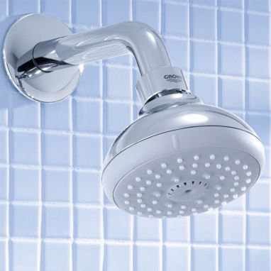 GROHE Верхний душ с кронштейном Tempesta 100 (27870000)
