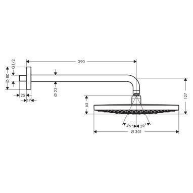 HANSGROHE Верхний душ с кронштейном Raindance Select S (27378400)