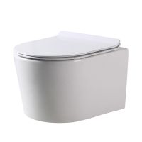 DUSEL Унитаз подвесной c крышкой и сиденьем Slim Soft-close Arez (DWHT10210230R)