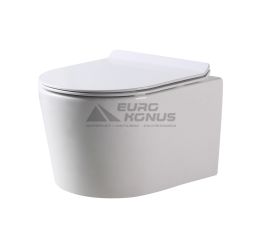 DUSEL Унітаз підвісний с кришкою і сидінням Slim Soft-close Arez (DWHT10210230R)