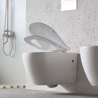 DUSEL Унитаз подвесной c крышкой и сиденьем Slim Soft-close Belisi (DWHT10200930R)