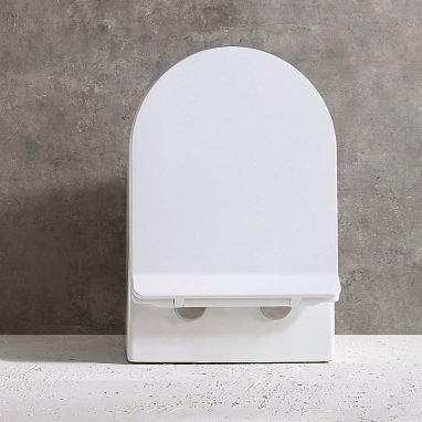 DUSEL Унитаз подвесной c крышкой и сиденьем Slim Soft-close Belisi (DWHT10200930R)