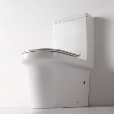DUSEL Унитаз-компакт c крышкой и сиденьем Slim Soft-close Mojo (DTPT10210130R)