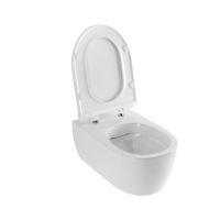 EXCELLENT Унитаз подвесной с сидением Doto Pure-Rim (CEAX.1404.485.WH)