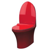 IDEVIT Унитаз-компакт с сиденьем и функцией биде SC Rena SETK2904-0205-081-1-6200