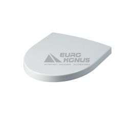AM.PM Сиденье для унитаза с микролифтом Bliss L (C537852WH)