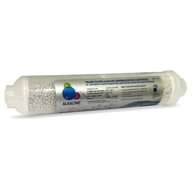 LEADER Картридж минерализатор двухкомпонентный Antioxidant In-Line HD-25 (LHD25-10L-NPT)